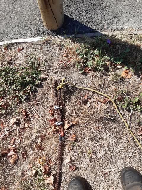 Parks, a report photo
