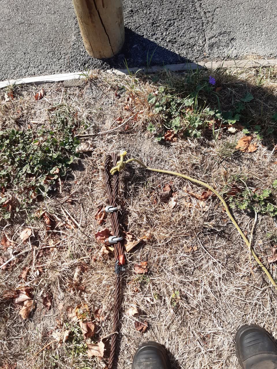 The photograph attached to this parks report