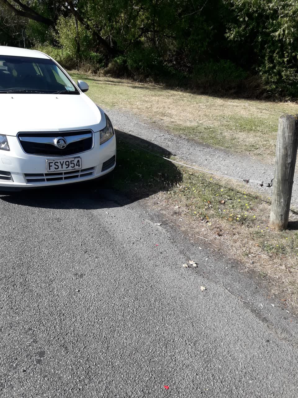 The photograph attached to this parks report