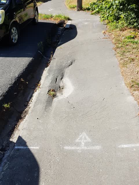 Roading/Streets, a report photo