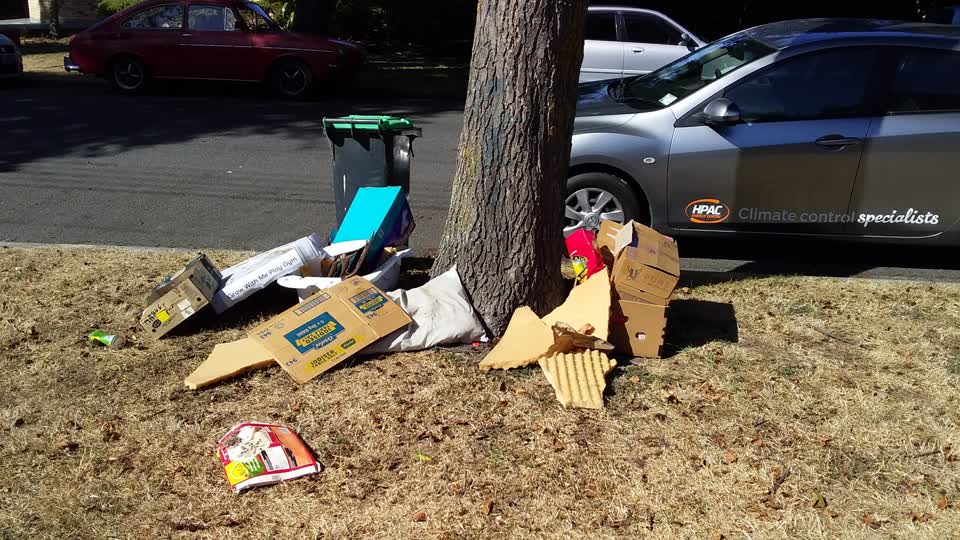The photograph attached to this rubbish/recycling report