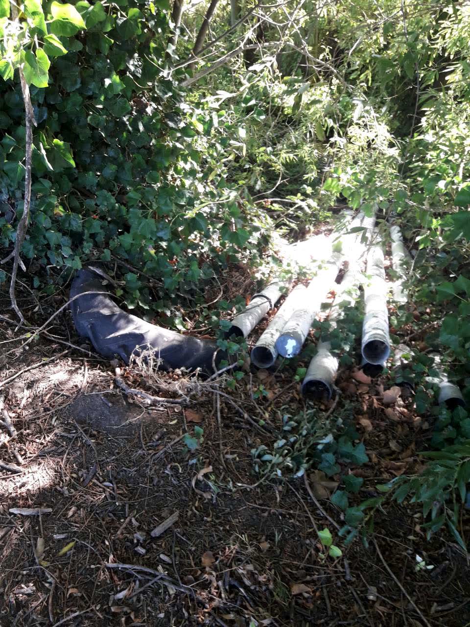 The photograph attached to this parks report