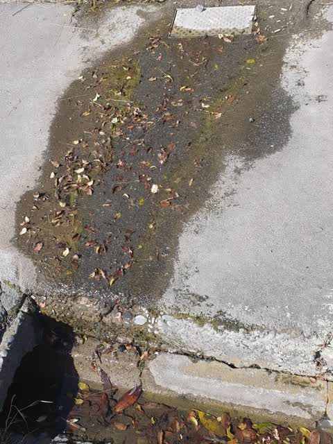 Water Supply, a report photo