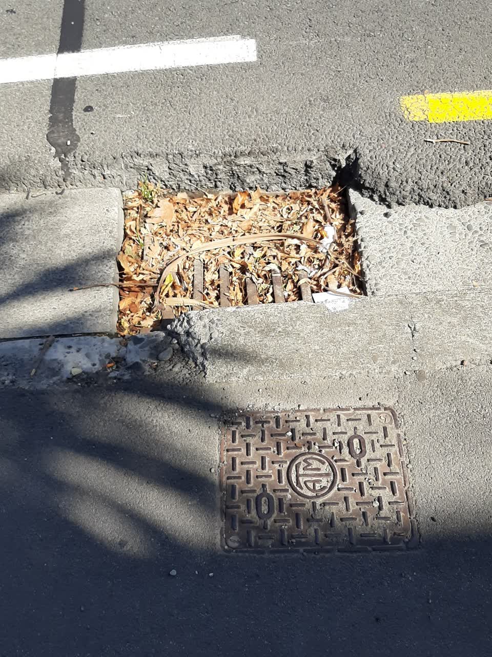 The photograph attached to this roading/streets report