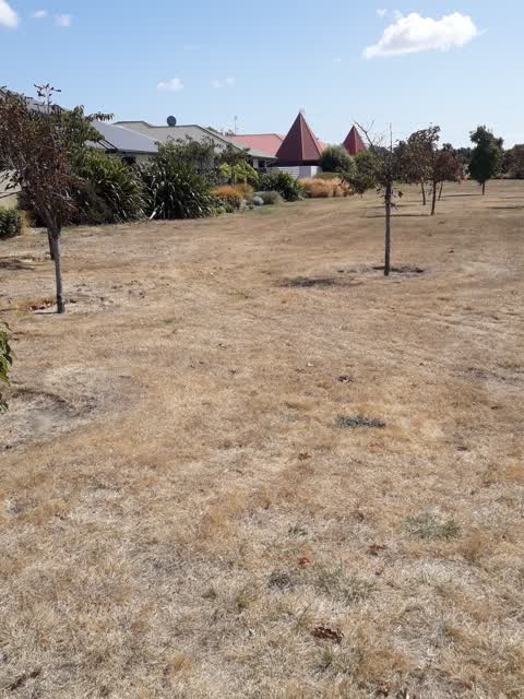 Parks — a report photo
