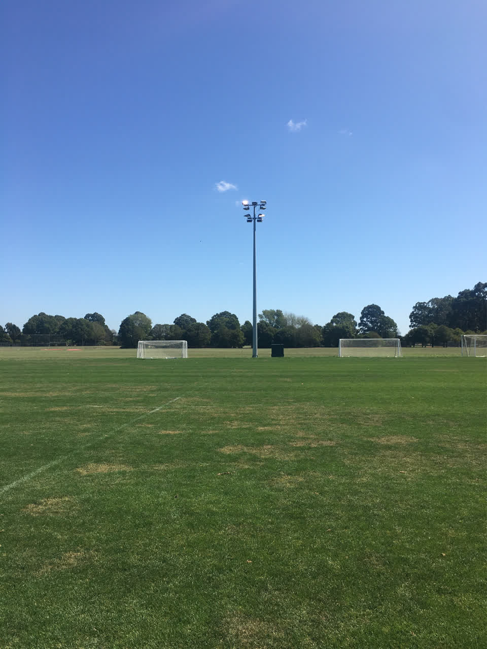 The photograph attached to this parks report