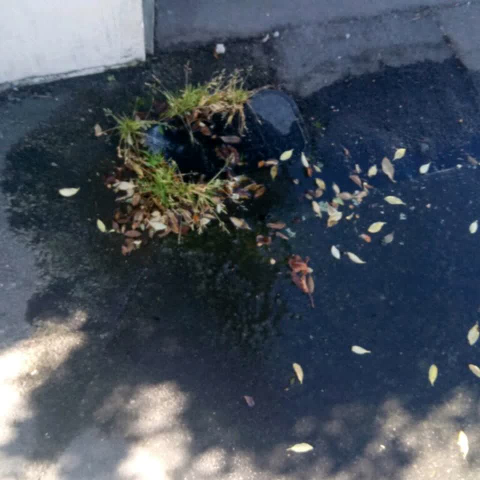 The photograph attached to this flooding report
