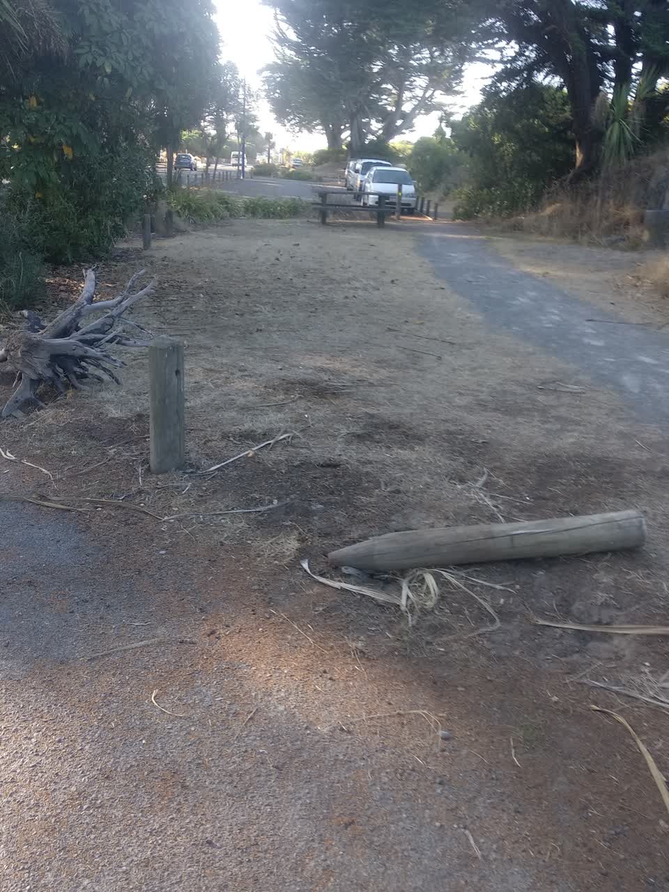 The photograph attached to this parks report