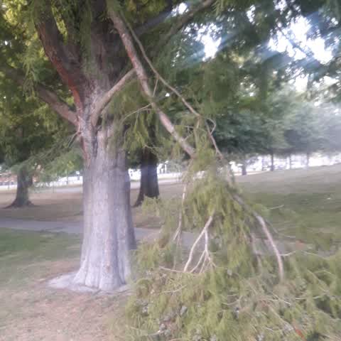 Parks, a report photo