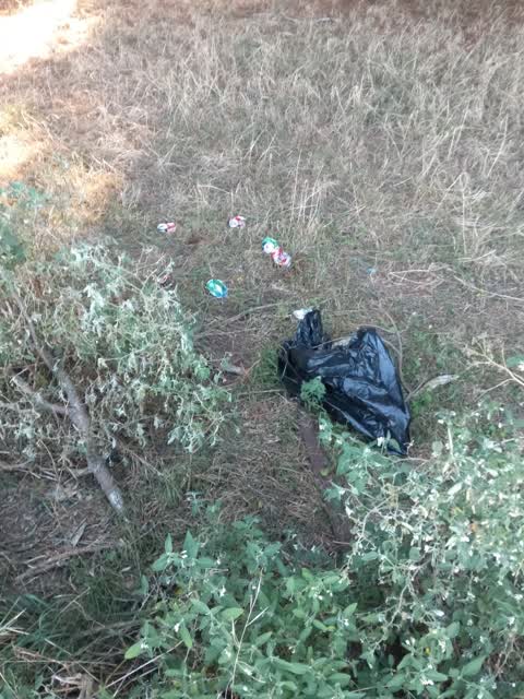Parks, a report photo