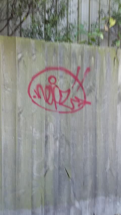 Graffiti — a report photo