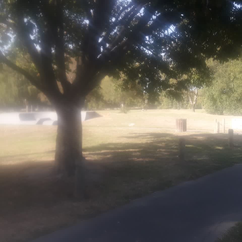 The photograph attached to this parks report