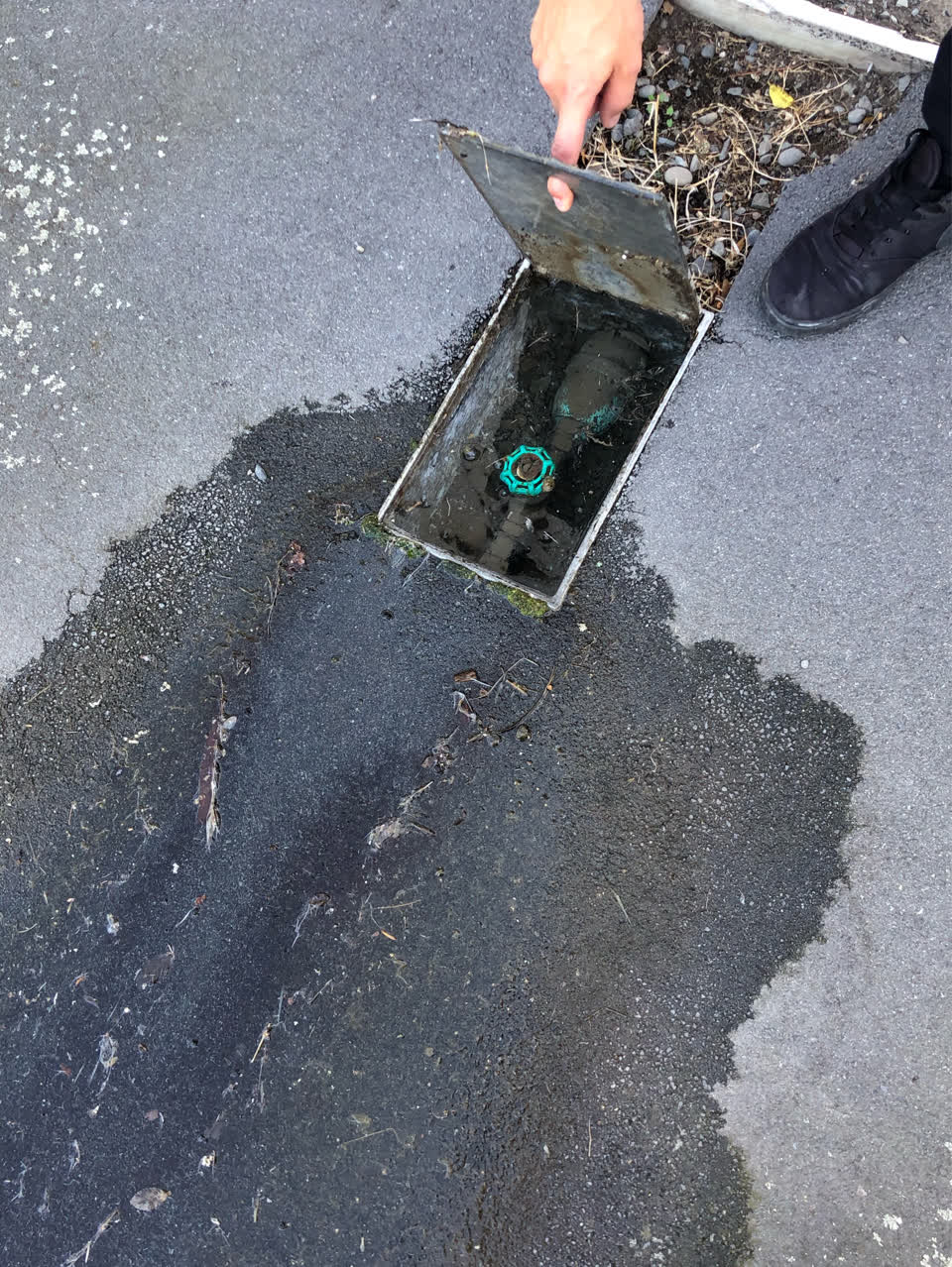 The photograph attached to this water supply report