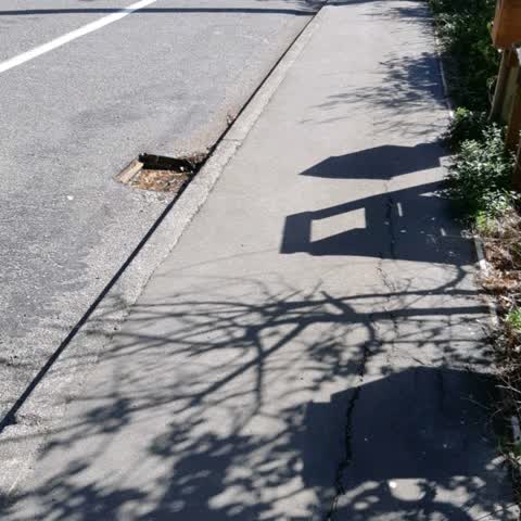 Roading/Streets, a report photo