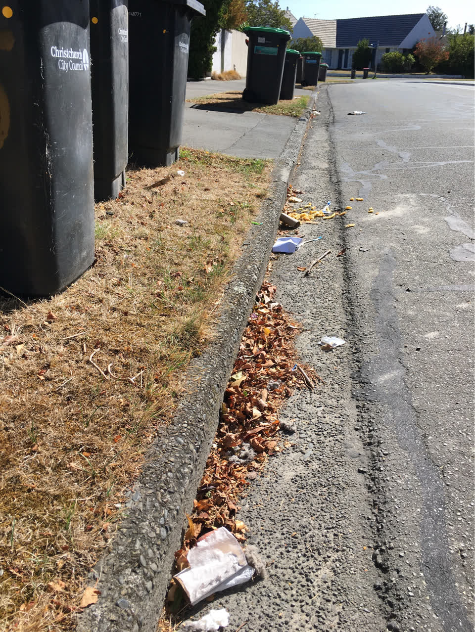 The photograph attached to this rubbish/recycling report