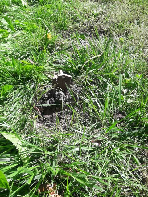 Parks, a report photo