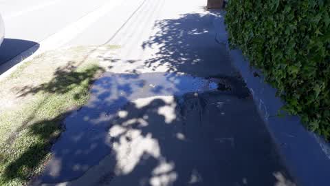 Water Supply, a report photo