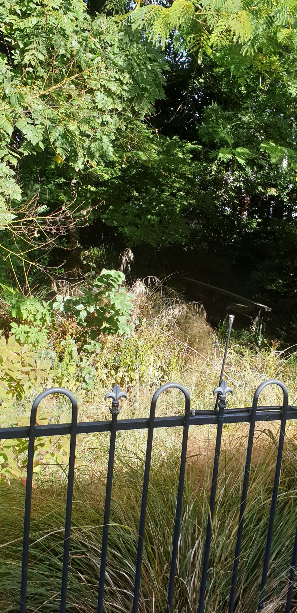 The photograph attached to this parks report