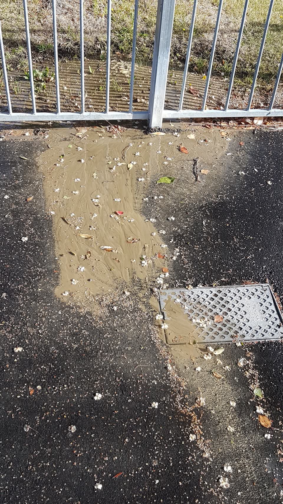 The photograph attached to this water supply report