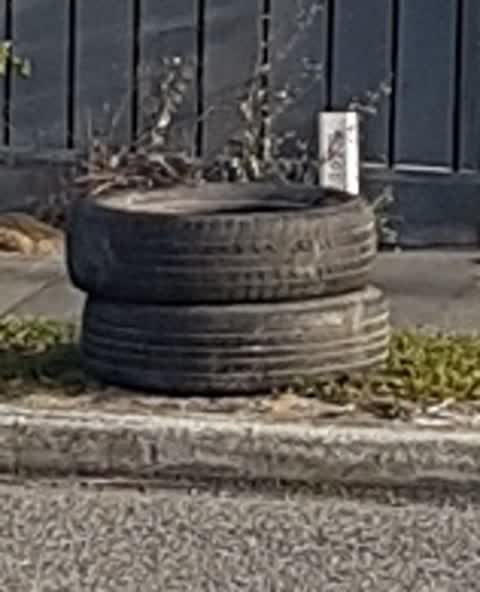 Rubbish/Recycling, a report photo