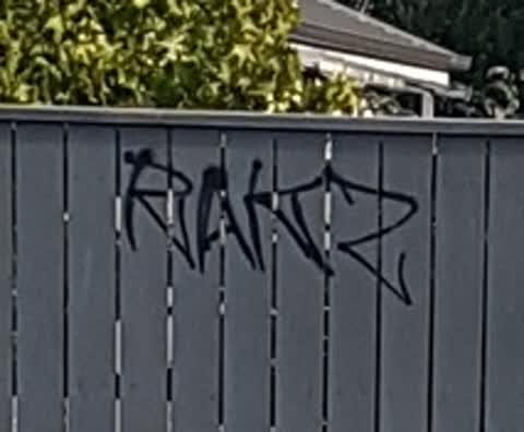 Graffiti, a report photo