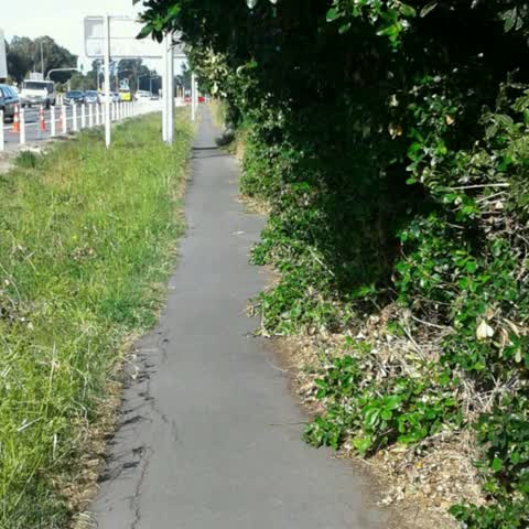 Roading/Streets, a report photo