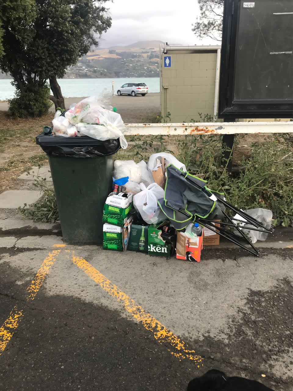 The photograph attached to this rubbish/recycling report