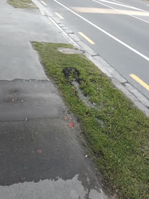 Flooding, a report photo