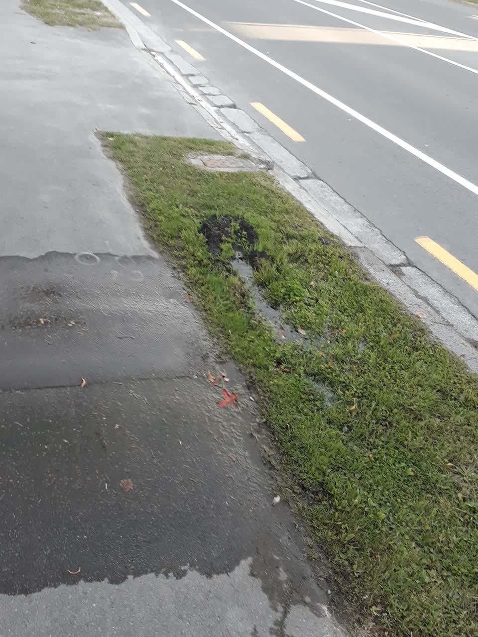 The photograph attached to this flooding report