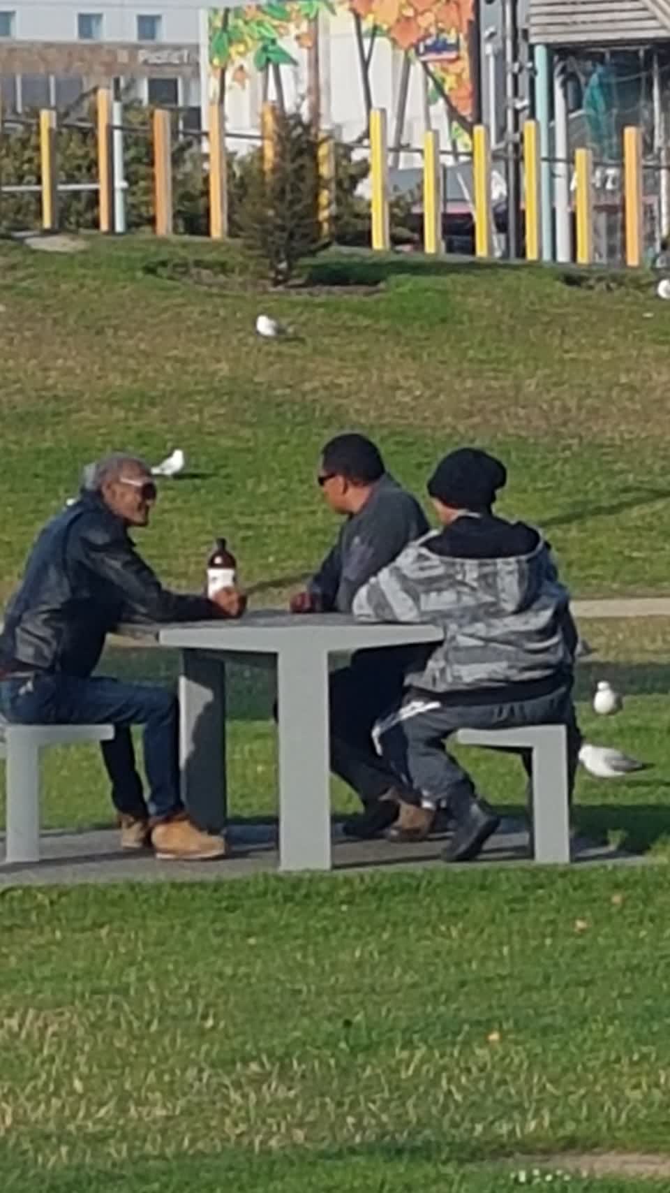 The photograph attached to this parks report