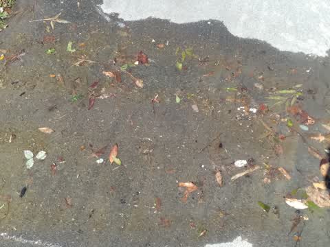 Wastewater/Stormwater, a report photo