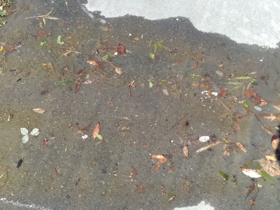 The photograph attached to this wastewater/stormwater report