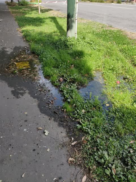 Water Supply, a report photo
