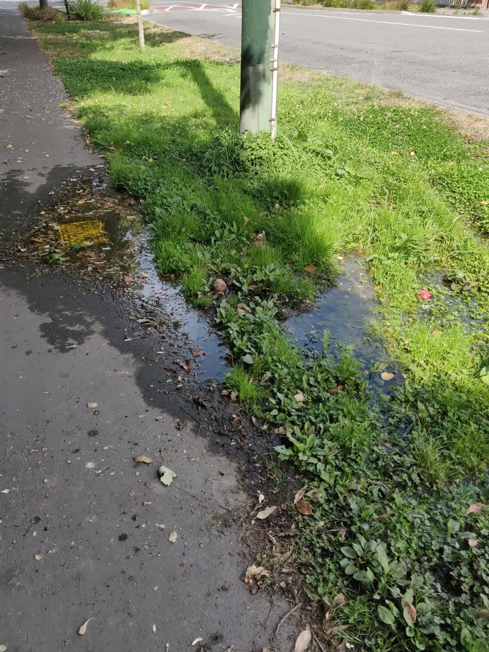 The photograph attached to this water supply report