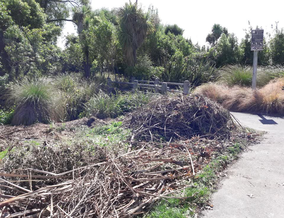 The photograph attached to this parks report