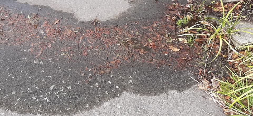 The photograph attached to this water supply report