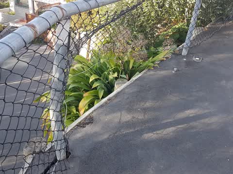 Roading/Streets, a report photo