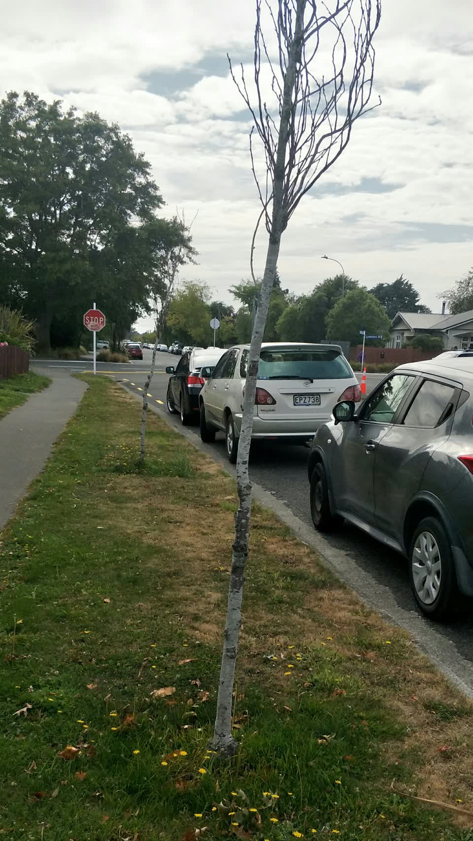 The photograph attached to this parks report