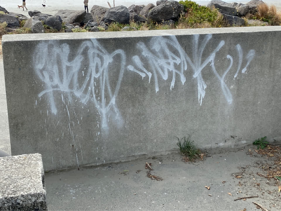 The photograph attached to this graffiti report