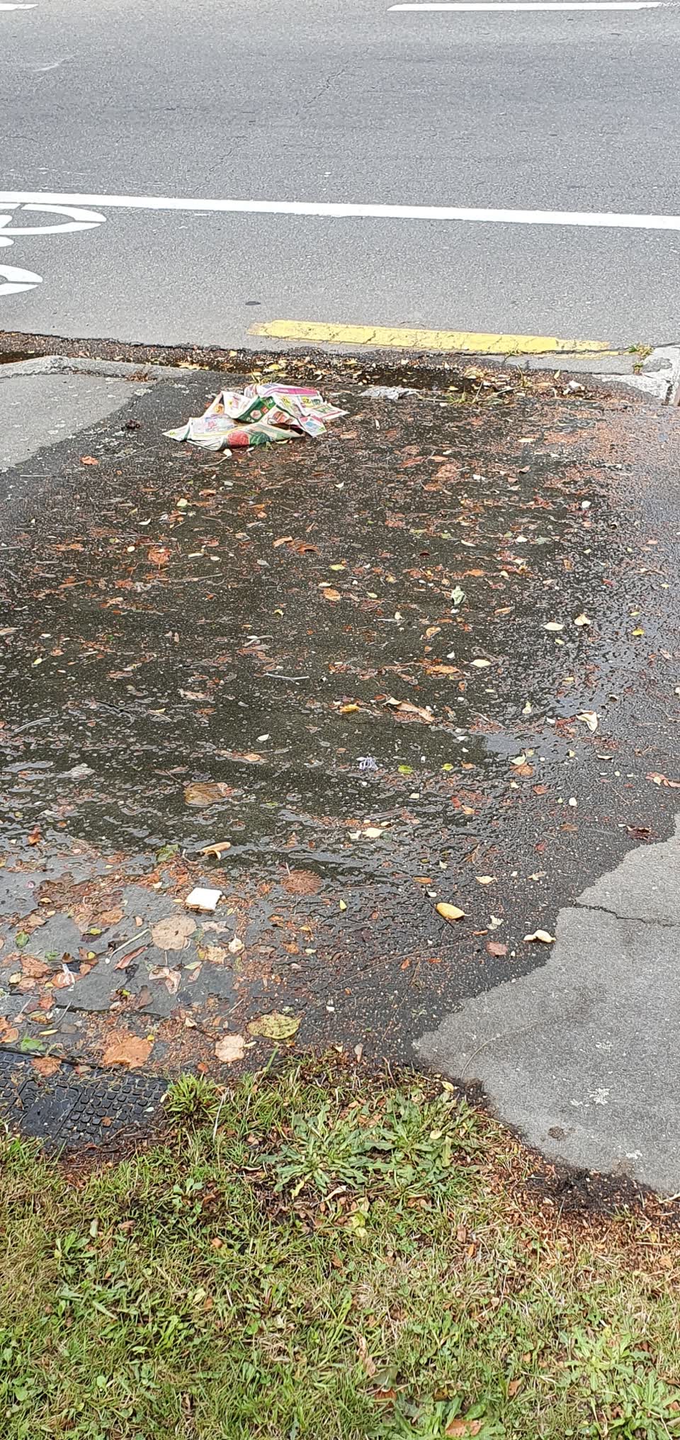 The photograph attached to this water supply report
