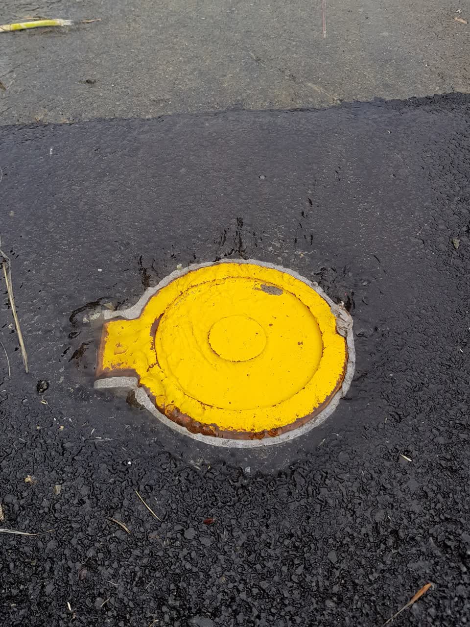 The photograph attached to this water supply report