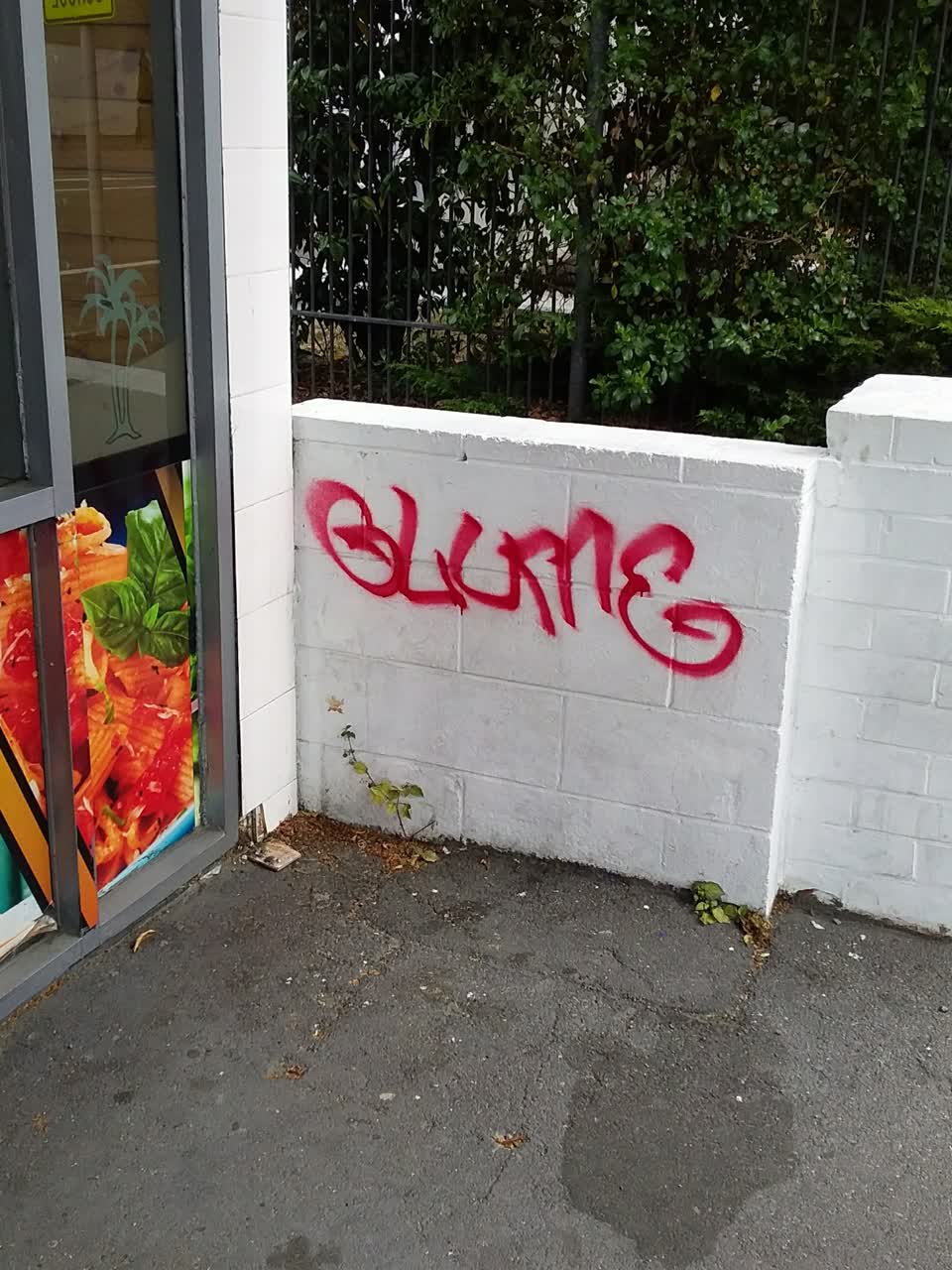 The photograph attached to this graffiti report
