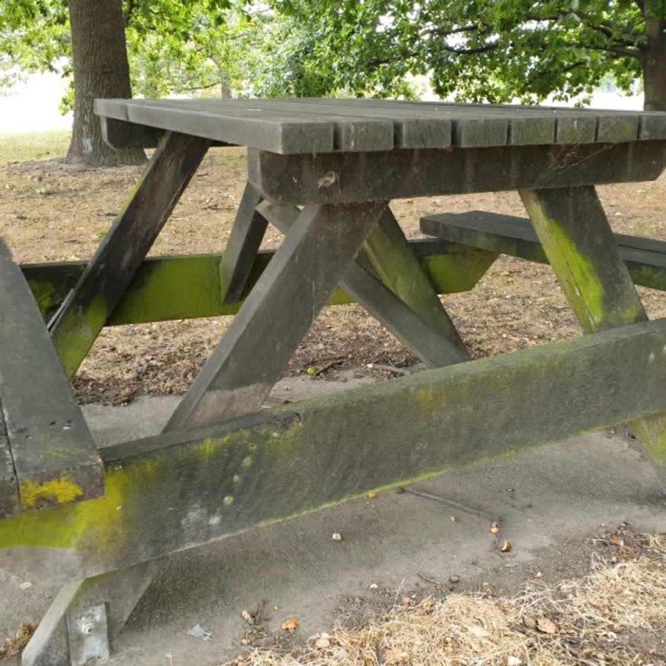 The photograph attached to this parks report