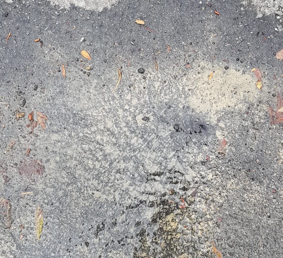 The photograph attached to this water supply report