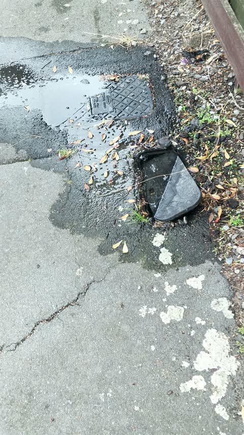 Water Supply, a report photo