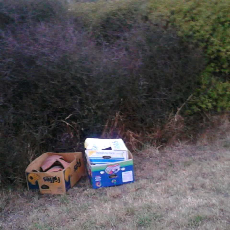 The photograph attached to this rubbish/recycling report