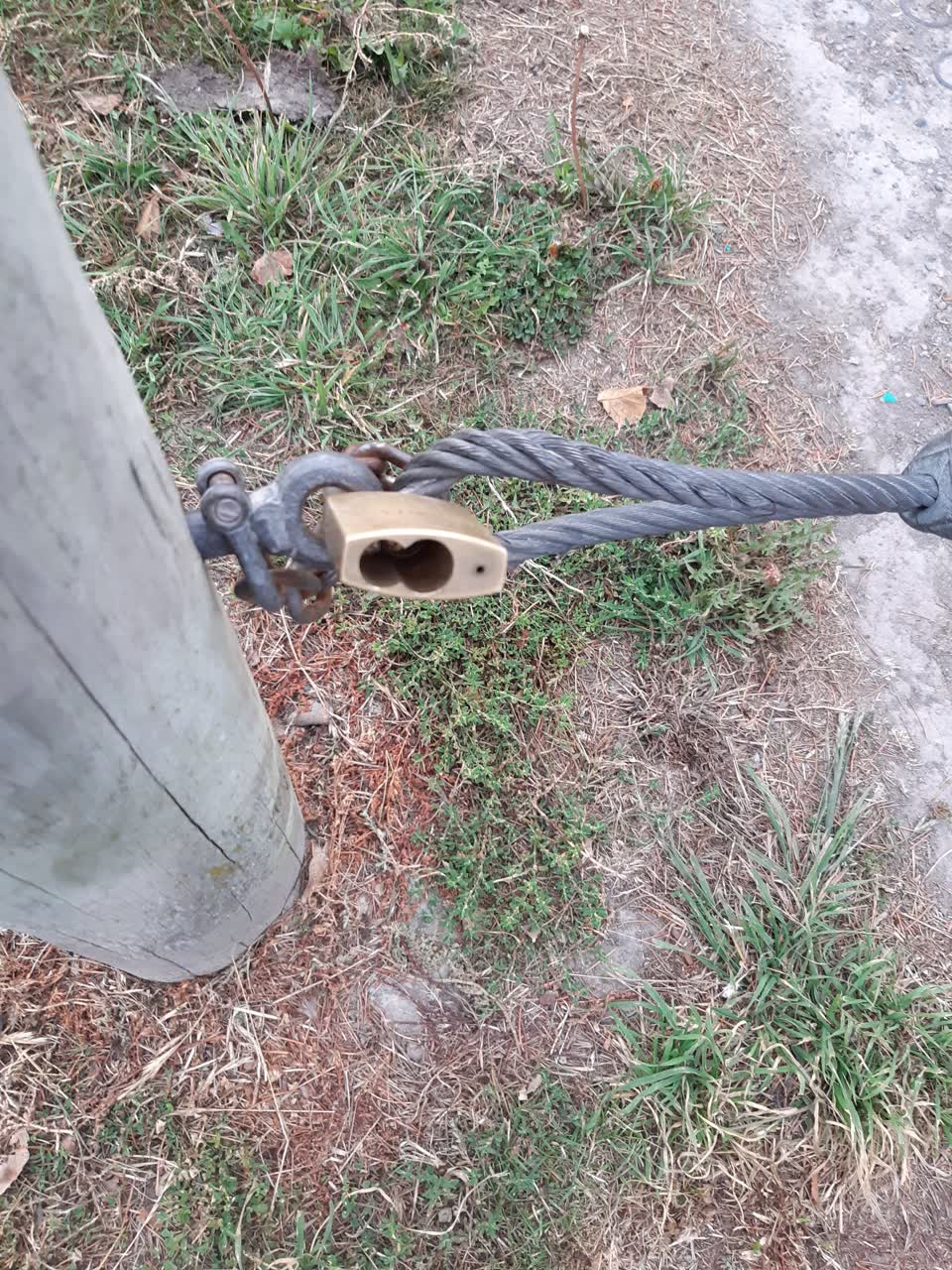 The photograph attached to this parks report