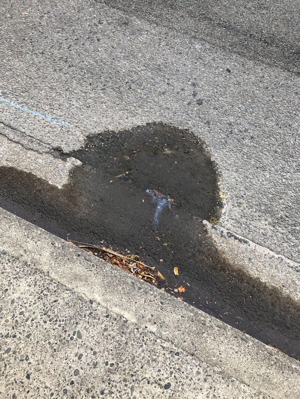 The photograph attached to this water supply report
