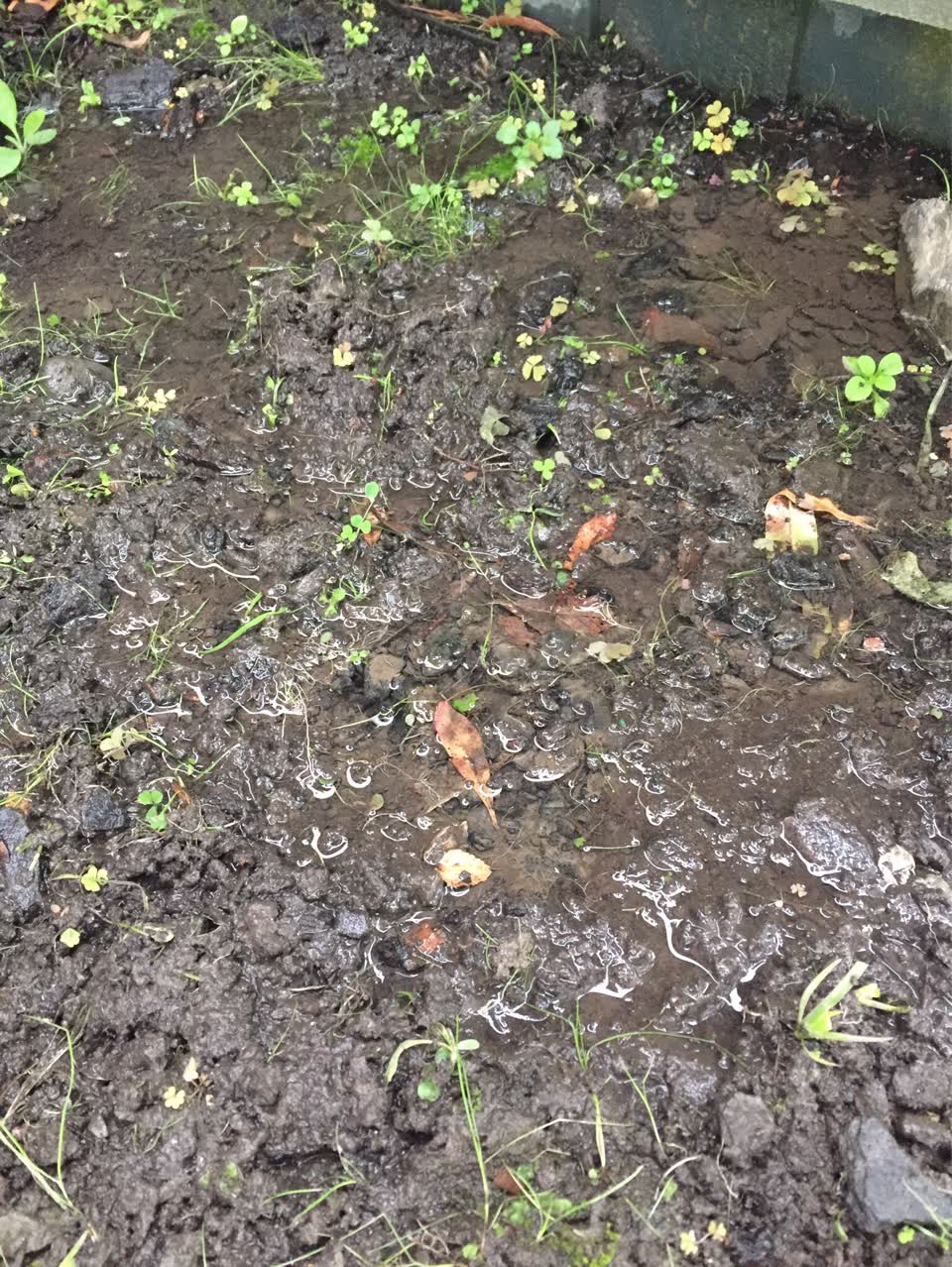 The photograph attached to this water supply report