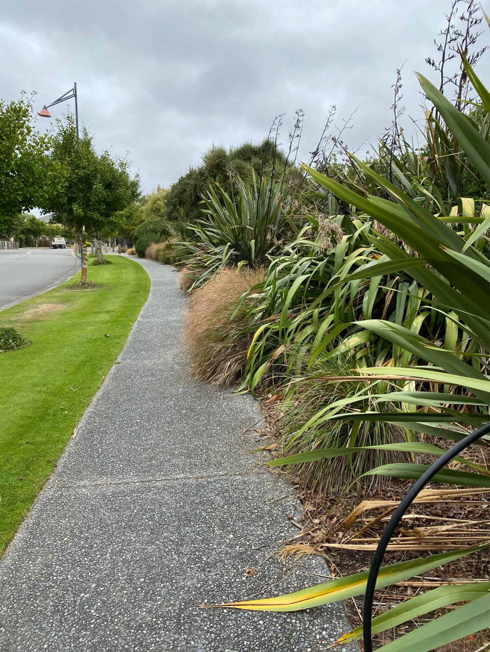 The photograph attached to this parks report